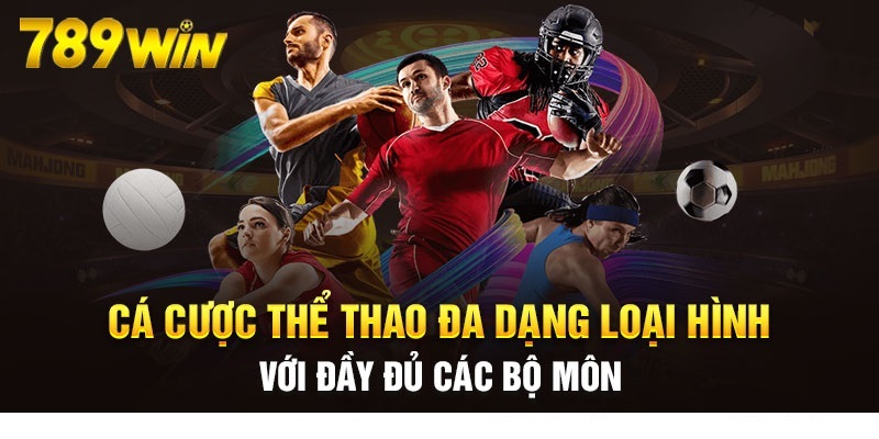 Sơ lược các thông tin cơ bản của thể thao 789win