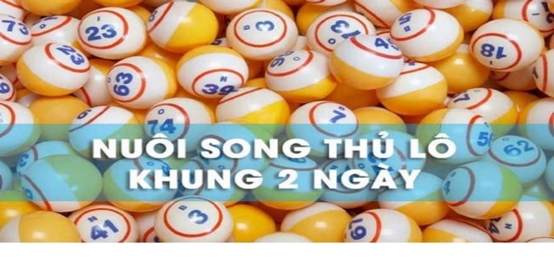 Sơ lược khái quát về song thủ lô nuôi khung 2 ngày